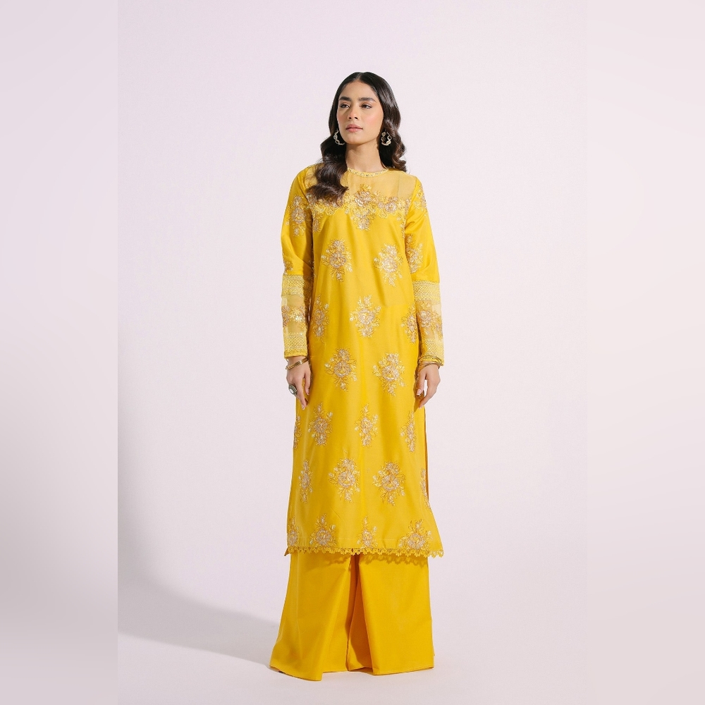Ethnic Embroidered Suit